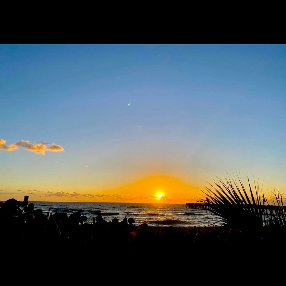 Meet your Posher, Nelis